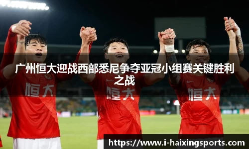海星体育直播